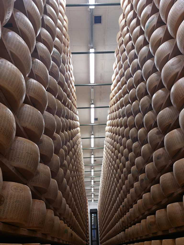 Ganz viel Käse